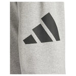 adidas Essentials Big Logo French Terry Joggers